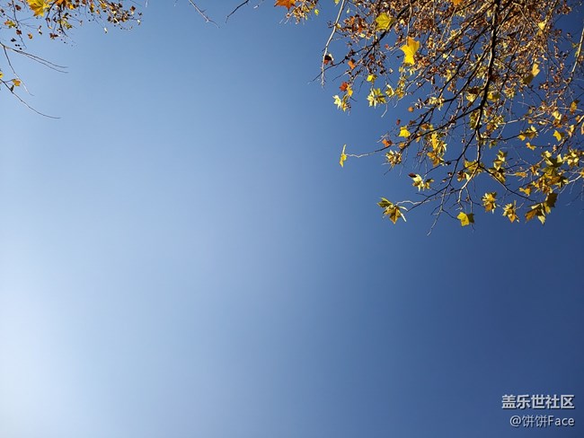 匠心獨(dú)具 慧眼識(shí)珠 三星Galaxy A8s全面評(píng)測(cè)