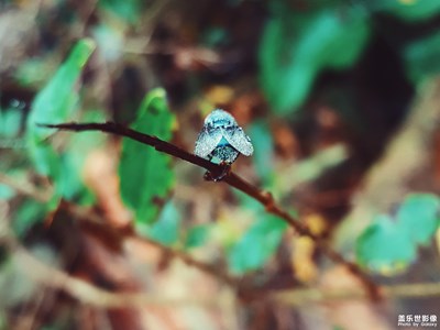 【再見，2018！】一