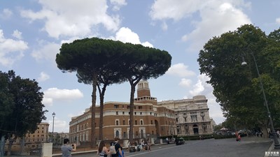 羅馬-地中海松隨拍