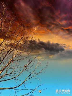 我們的實習(xí)公寓的小路上一景。