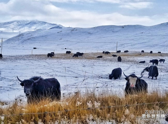 【126-127期：三星黑瞳全視屏 Galaxy A8s正式發(fā)布】