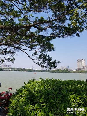 【2018回首】+風(fēng)景一路走過