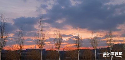 【回首2018】五味雜陳的一年