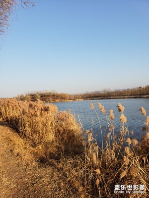 回首2018+又是匆匆忙忙的一年