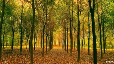 【回首2018】+我生活的伴侶S7edge