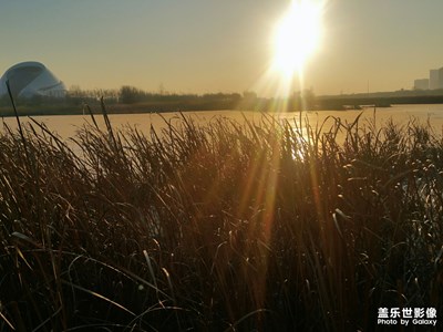 【回首2018】+歲月清淺