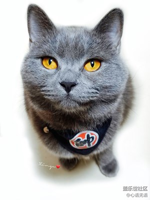 【回首2018】+再見，2018