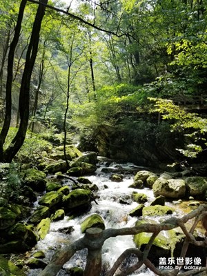 【回首2018】+S8記錄所見所聞