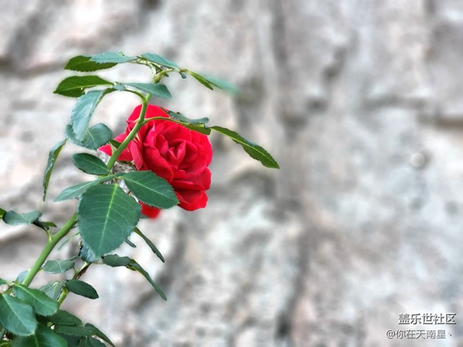 【2018我與三星的故事】2018我與三星親密接觸的那些故事