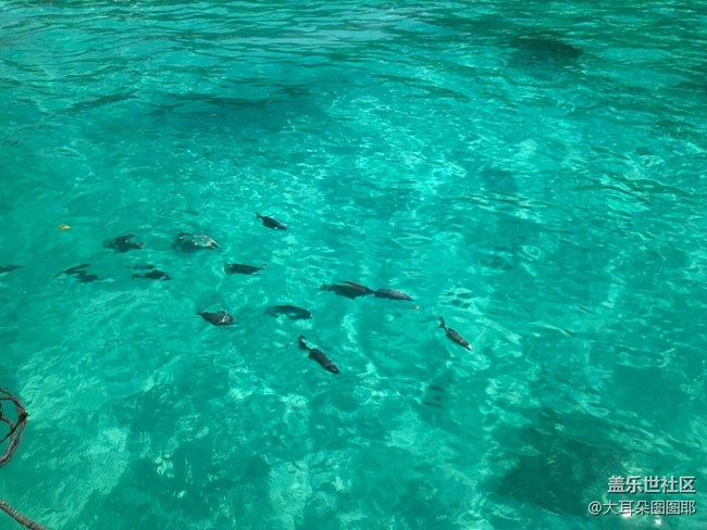 泰國旅游的記錄