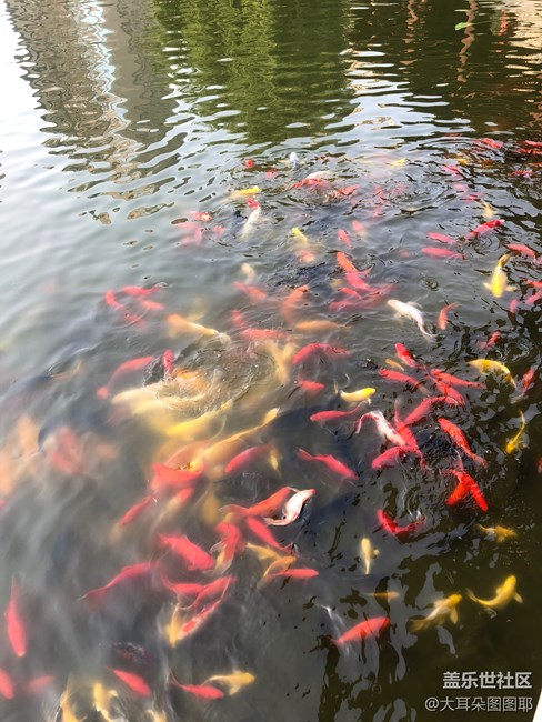 具有江南風(fēng)格的公園