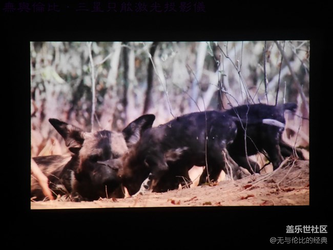 【三星智能激光投影儀試用體驗(yàn)】好看又好玩的便攜投影儀 【三星智能激光投影儀試用體驗(yàn)】好看又好玩的便攜投影儀