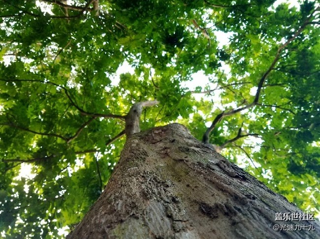 【2018我與三星的故事】訴說“那一年”的“風(fēng)塵往事” 【2018我與三星的故事】訴說“那一年”的“風(fēng)塵往事”