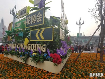 城市花博會(huì)