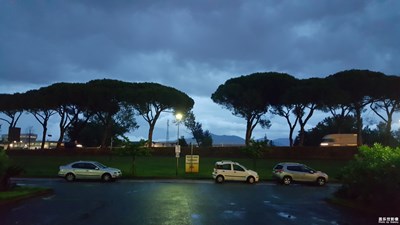 傍晚的地中海松以及路邊的指示牌