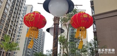 大紅燈籠迎新年2