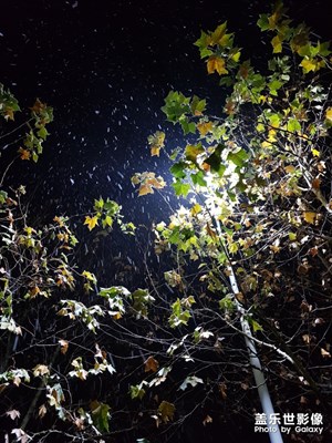 濰坊的雪
