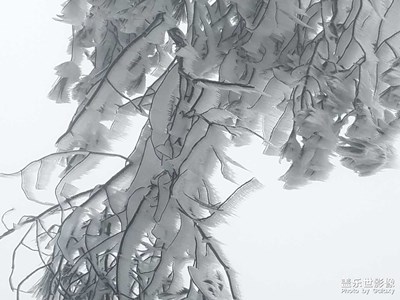 2018年第一場(chǎng)雪，多年不見(jiàn)啊