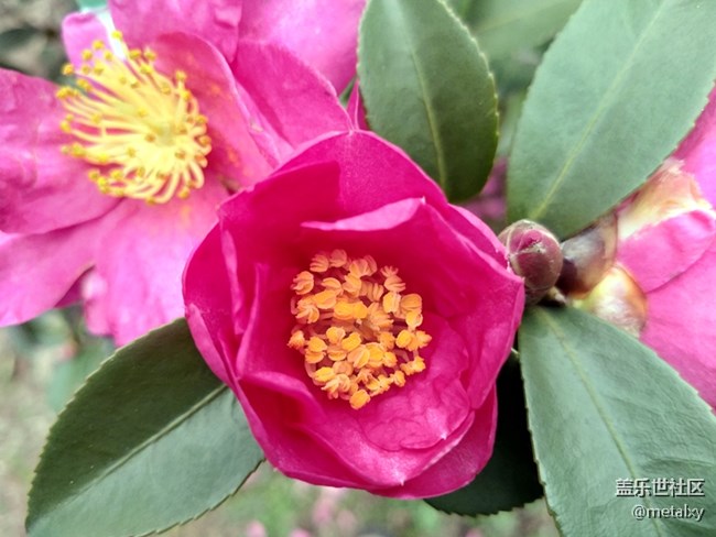 【A6s星粉體驗團】三星Galaxy A6s暢玩吃雞王者不卡頓 【A6s星粉體驗團】三星Galaxy A6s暢玩吃雞王者不卡頓