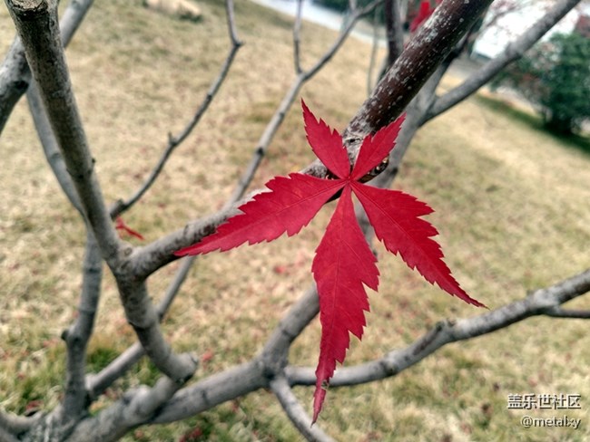 【A6s星粉體驗團】三星Galaxy A6s暢玩吃雞王者不卡頓 【A6s星粉體驗團】三星Galaxy A6s暢玩吃雞王者不卡頓