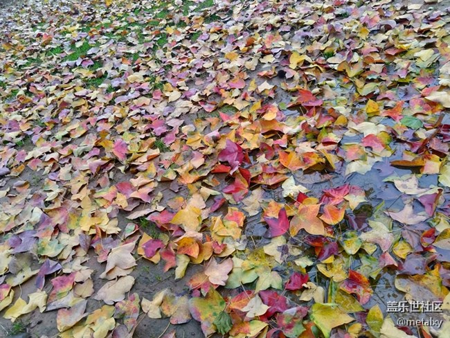 【A6s星粉體驗團】三星Galaxy A6s暢玩吃雞王者不卡頓 【A6s星粉體驗團】三星Galaxy A6s暢玩吃雞王者不卡頓