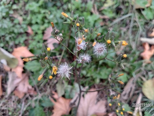 【A6s星粉體驗團】三星Galaxy A6s暢玩吃雞王者不卡頓 【A6s星粉體驗團】三星Galaxy A6s暢玩吃雞王者不卡頓