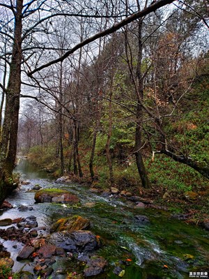 【2019嗨翻新年】+徒步莫浪河谷