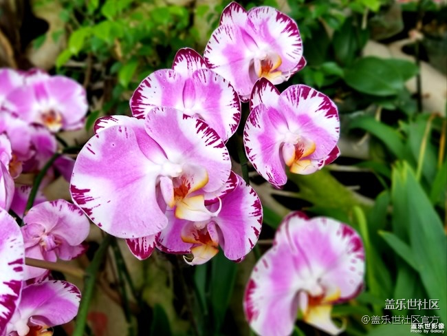 每周精帖匯【130期：2019年要完成目標(biāo)有哪些呢？】