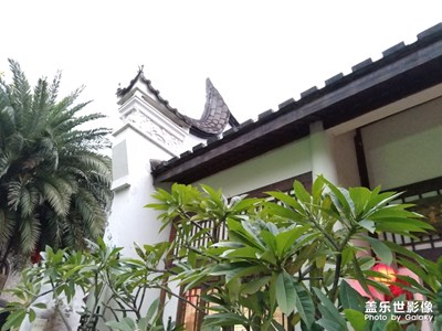 萬(wàn)綠叢中一點(diǎn)紅