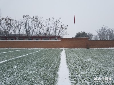 【開門紅】+紅磚墻、白雪、小麥苗