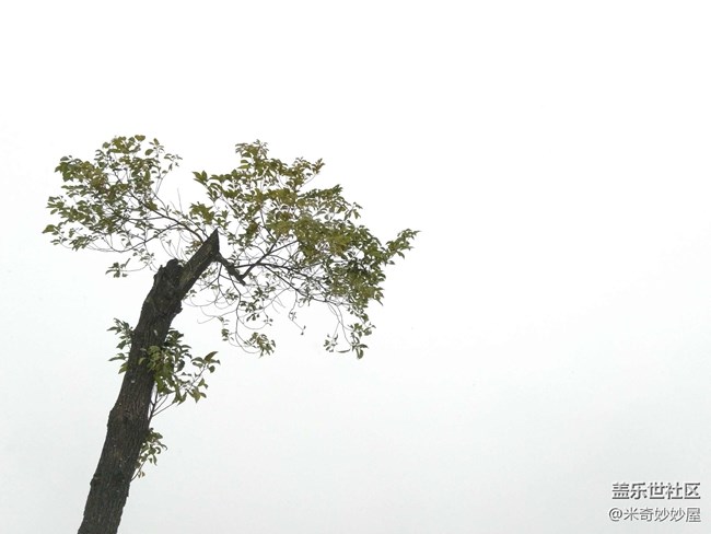 【A6s星粉體驗(yàn)團(tuán)】震驚！A6S竟然可以這樣！【創(chuàng)意】