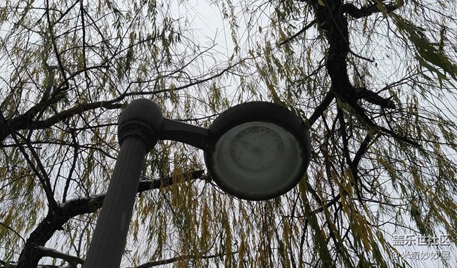 【A6s星粉體驗(yàn)團(tuán)】震驚！A6S竟然可以這樣！【創(chuàng)意】