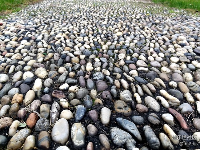 【A9s星粉體驗(yàn)團(tuán)】2019年的第一次玩機(jī) 魅力“四攝”三星A9s 【A9s星粉體驗(yàn)團(tuán)】2019年的第一次玩機(jī) 魅力“四攝”三星A9s