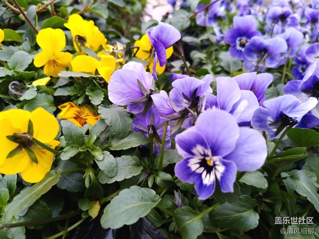 【A6s星粉體驗(yàn)團(tuán)】初拍體驗(yàn)——應(yīng)付日常足矣