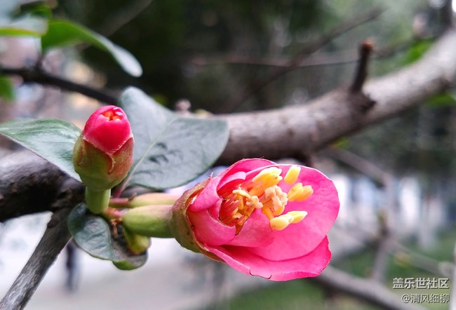 【A6s星粉體驗(yàn)團(tuán)】初拍體驗(yàn)——應(yīng)付日常足矣