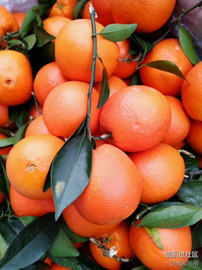 【A6s星粉體驗(yàn)團(tuán)】初拍體驗(yàn)——應(yīng)付日常足矣