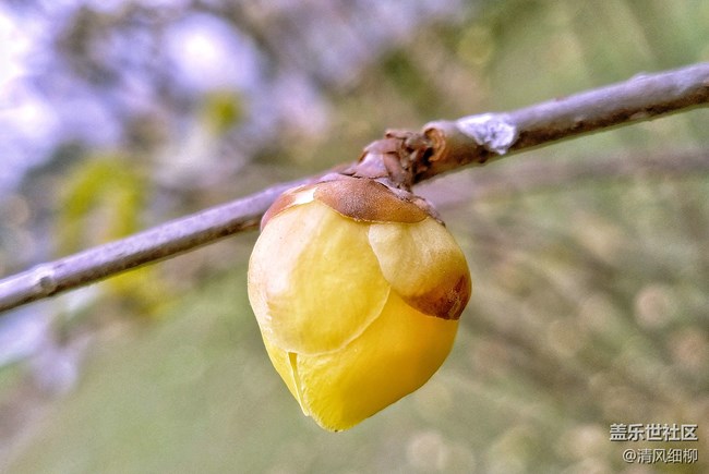 【A6s星粉體驗(yàn)團(tuán)】初拍體驗(yàn)——應(yīng)付日常足矣