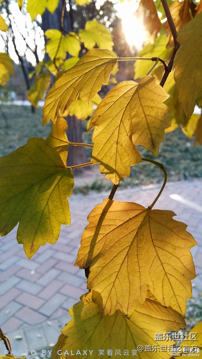 每周精帖匯【131期：CES2019三星電子驚喜連連】