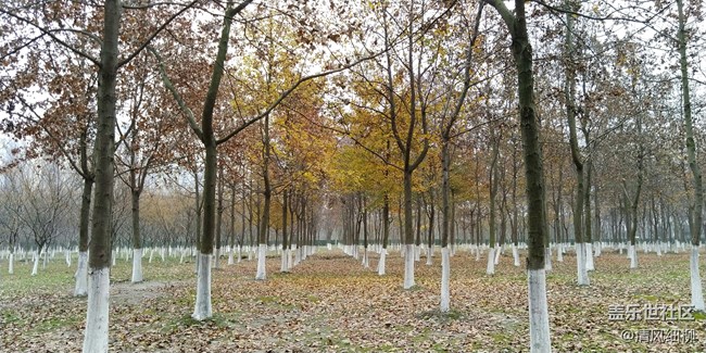 【A6s星粉體驗(yàn)團(tuán)】初拍體驗(yàn)——應(yīng)付日常足矣