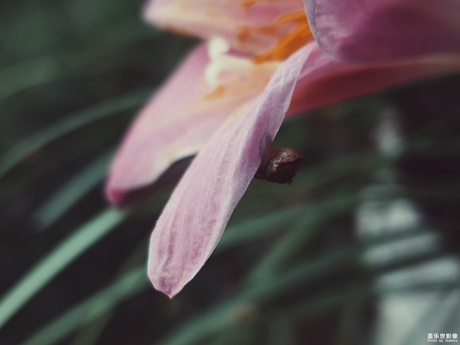 【旅行】@小蝸牛