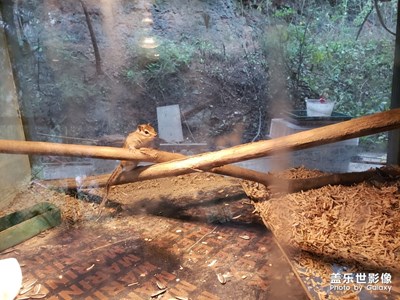 冬天的動物園里面一角