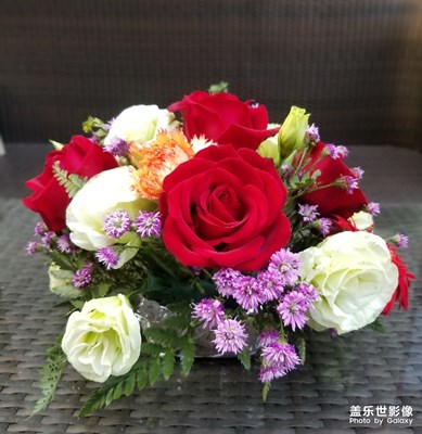 【迎春萬象】+小花