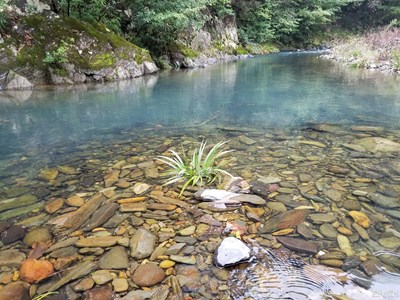 【迎春萬像】+大山深處