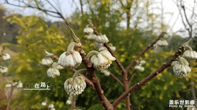 2019最美風(fēng)景就在身邊的路上