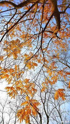 【色彩】+繁花似景的祖國(guó)