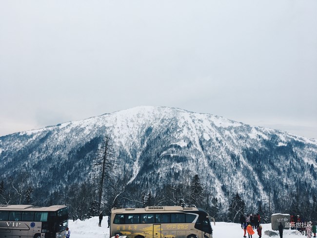 紛紛瑞雪落人間   雪鄉(xiāng)迎“星”年