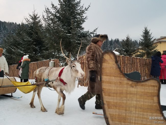 紛紛瑞雪落人間   雪鄉(xiāng)迎“星”年