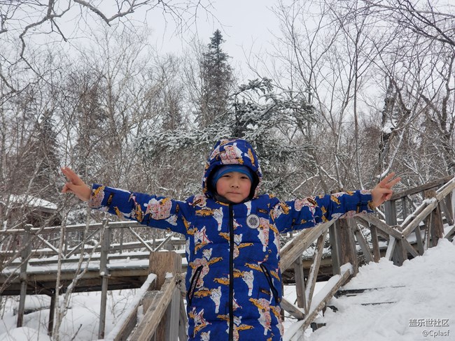 紛紛瑞雪落人間   雪鄉(xiāng)迎“星”年