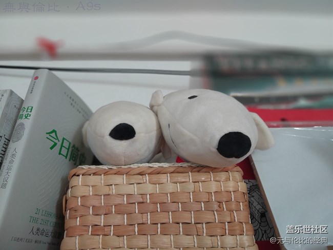 【A9s星粉體驗(yàn)團(tuán)】第一款后置四攝手機(jī)的拍照效果還真不錯(cuò)