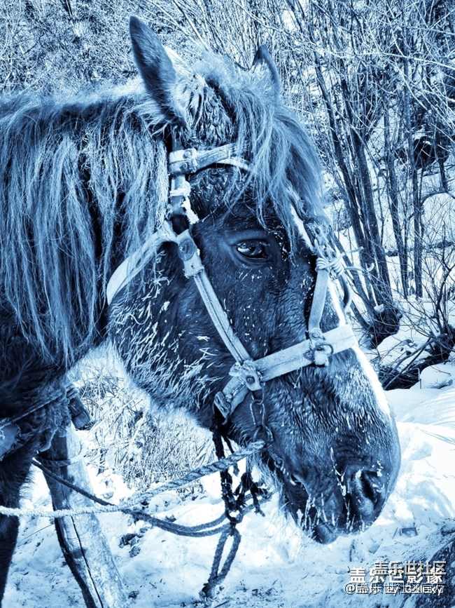 每周精帖匯【133期：春節(jié)模式開啟啦 祝大家小年快樂！】